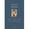Image de Night sky with exit wounds Ocean Vuong