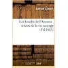 Image de Les bandits de l'arizona : scenes de la vie sauvage Gustave Aimard