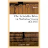 Image de Chef de bataillon betrix. la penetration touareg