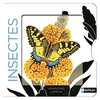 Image de Nathan Editions Les Belles Couleurs - Insectes