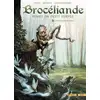 Image de Brocéliande - forêt du petit peuple Tome 1 : la fontaine de Barenton