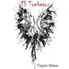 Image de 13 tombeaux - recueil de nouvelles Virginie Dubois