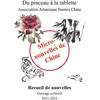 Image de Micronouvelles de chine Collectif