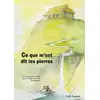 Image de Ce que m'ont dit les pierres