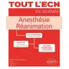 Image de Tout l'ECN en schémas : anesthésie et réanimation Elodie Teil, Marion Bisch, Agathe Desvaux
