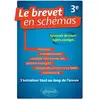 Image de Le brevet en schémas Jérémy Hammerton
