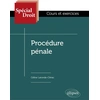 Image de Procédure pénale Céline Laronde-Clérac