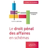 Image de Le droit pénal des affaires en schémas Madeleine Lobé Lobas