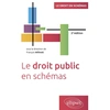 Image de Le droit public en schémas François Abouadaou, Thomas Delanlssays, Frank Zerdoumi