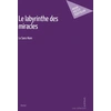 Image de Le labyrinthe des miracles Le Sans-Nom
