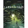 Image de Labyrinthus - Tome 02