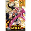 Image de One Piece - gold Tome 2 Eiichiro Oda