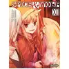 Image de Spice & wolf Tome 12 Jyuu Ayakura