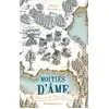 Image de Chroniques des cinq trônes Tome 1 - moitiés d'âme Anthelme Hauchecorne
