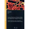 Image de Physics and mechanics of random media from morphology to material properties Francois Willot, Samuel Forest