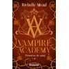 Image de Vampire Academy Tome 4 : promesse de sang Richelle Mead