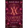 Image de Vampire Academy Tome 1 : soeurs de sang Richelle Mead