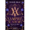Image de Vampire Academy Tome 2 : morsure de glace Richelle Mead