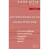 Image de Les souffrances du jeune Werther, de Johann Wolfgang von Goethe Collectif