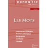 Image de Les mots, de Jean-Paul Sartre Collectif