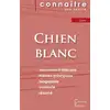 Image de Fiche de lecture Chien blanc de Romain Gary (Analyse littéraire de référence et résumé complet) Collectif