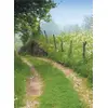 Image de La croisée des chemins Jeanine Berducat