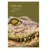 Image de Yawara Rodrigo Leao
