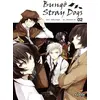 Image de Bungô Stray dogs Tome 2