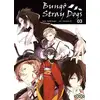Image de Bungô Stray dogs Tome 3