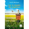 Image de Sur le chemin des papillons Sandra Martineau