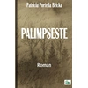Image de Palimpseste Patricia Portella Bricka