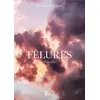 Image de Fêlures : nouvelles Bénédicte Delattre