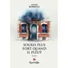 Image de Souris plus fort quand il pleut Céline Borrelli