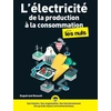 Image de L'électricité de la production à la consommation pour les nuls Enguérand Renault