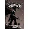 Image de Spawn T17 - Transformations