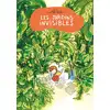 Image de Les jardins invisibles Alfred