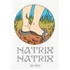 Image de Natrix Natrix Léo Bret