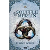 Image de Le secret des Druides, tome 3 Elodie Loisel