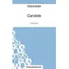 Image de Candide de Voltaire : analyse complète de l'oeuvre Vanessa Grosjean