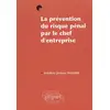 Image de La prévention du risque pénal par le chef d'entreprise Frédéric-Jérôme Pansier