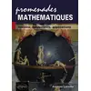 Image de Promenades mathématiques - Histoire, fondements, applications Frédéric Laroche