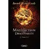 Image de La malédiction des Dragensblöt Tome 5 : Ulrik et Andrew Anne Robillard