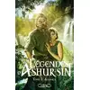 Image de Légendes d'Ashur-Sîn Tome 1 : Aranéa Anne Robillard