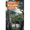 Image de Intempéries Roberto Bolaño