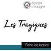 Image de Les tragiques d'Agrippa d'Aubigne (fiche de lecture et analyse complète de l'oeuvre) Théodore Agrippa D'Aubiné