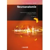 Image de Neuroanatomie (5e édition) James Fix, Jennifer Brueckner, Douglas J. Gould