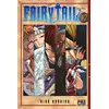 Image de Fairy Tail Tome 17 Hiro Mashima