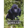 Image de LE FLIC AU SECOURS DES GORILLES Fabrice Martinez