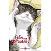 Image de Félin pour l'autre ! Tome 1 Wataru Nadatani