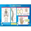 Image de Le corps humain Collectif